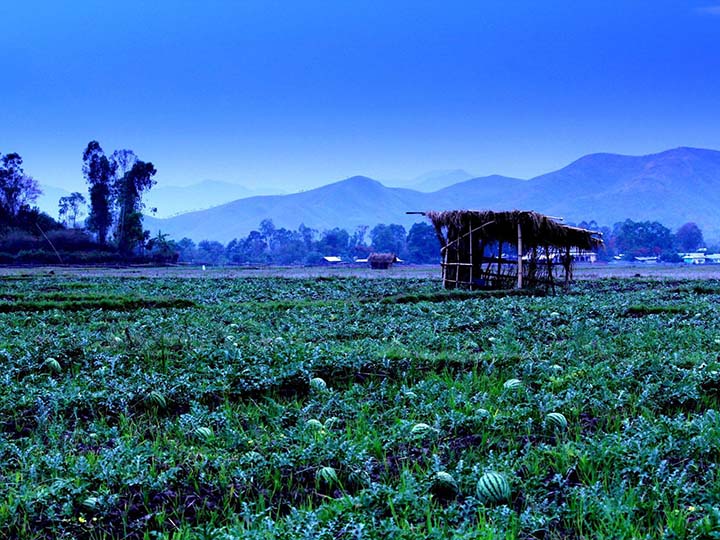 Kakching