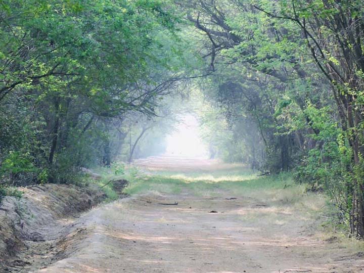 Bir Moti Bagh Wildlife Sanctuary