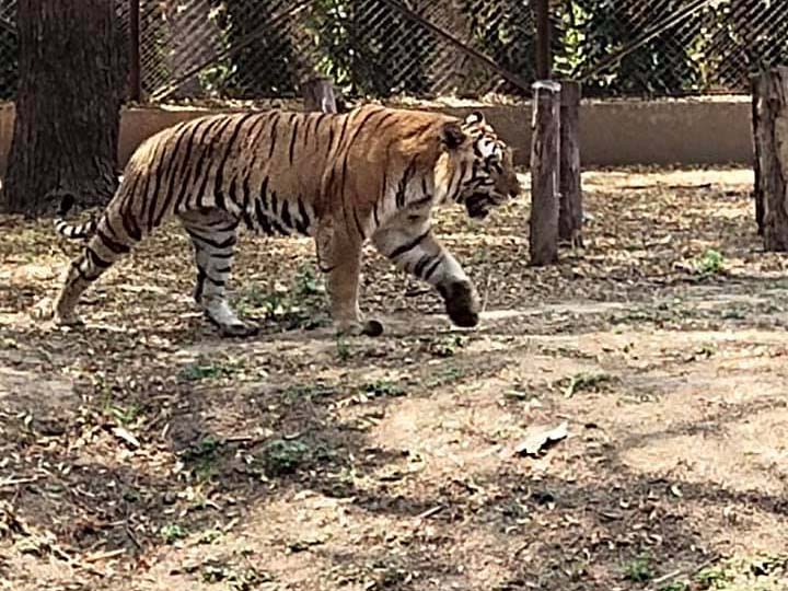 Sarthana National Park